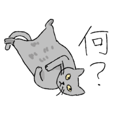 kurogoma_20240927121538