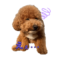 OchawaN_20240927210601