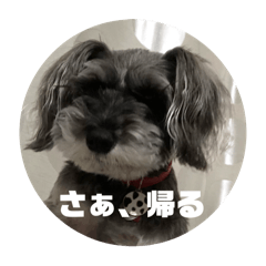 Toshimaen_20240927184917