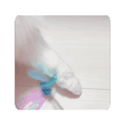 yukari_20240928101536