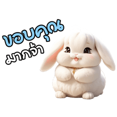 Cute and Chubby Bunny