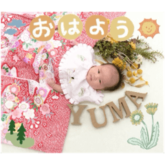mush_20240928181543