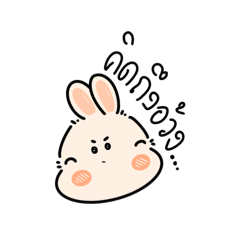 Rabbit_20240929140350