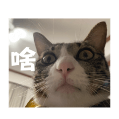 啊～比