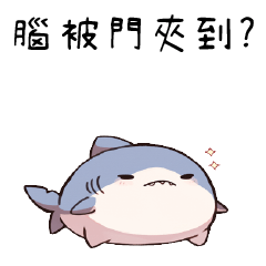 超嗆小鯊魚♛腦被門夾到?