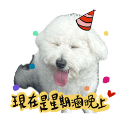 Cute Puppy Lovi:happy every day