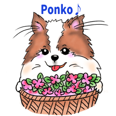 Mischievous Pomeranian(revised version)