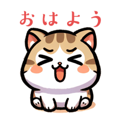 fat cute cute cat