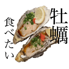 Dr.Oyster_20240928022010