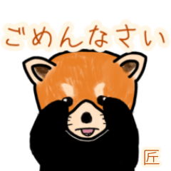 Takumi's lesser panda (2)