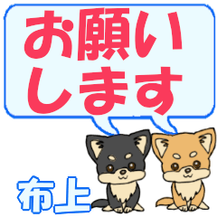 Nunogami's letters Chihuahua2