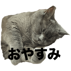 Dan_20240929164705
