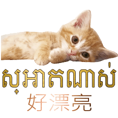 CAT CambodiaKhmerDailyLifeCONV