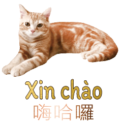 CAT VietnameseDailyLifeCONV