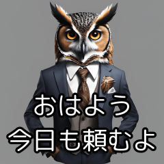 Owl president