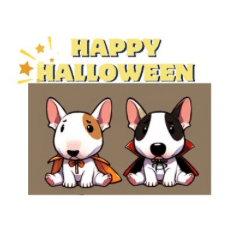 Halloween of Bull Terrier