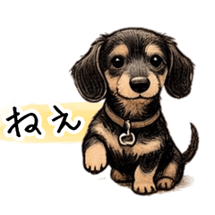 Dog series dachshund daily greetings