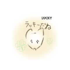 dobato2_20240928214832