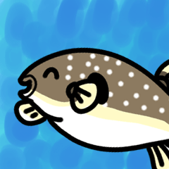 Pufferfish sticker