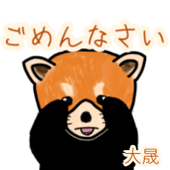 Taisei's lesser panda (2)