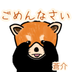 Sousuke's lesser panda (3)