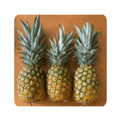 PINAPPLE HALA KAHIKI DYNAMIC STICKER.