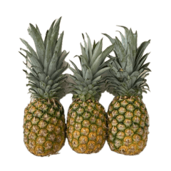 PINAPPLE PAINA HALA KAHIKI STICKER