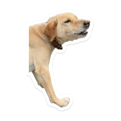 からき2