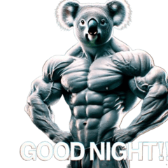 Muscle Koala-kun