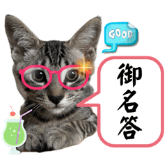 siggy_20240930090011