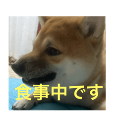 NORA_20240929174232