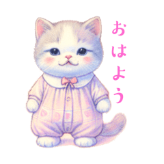 Baby cute cute cat