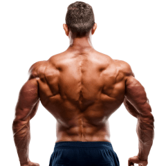 A Bodybuilder Who Speaks with His Back