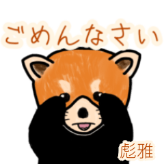 Hyuuga's lesser panda (2)