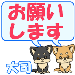 Ootsukasa's letters Chihuahua2