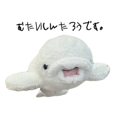Okayu_20240930030857