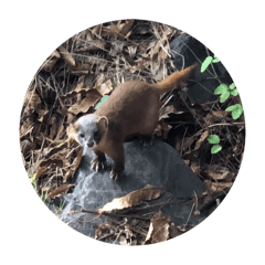 MisterMonut_20240930125130