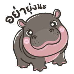 Deang Pygmy Hippo 1