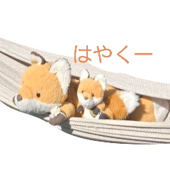 kayo_20240929135722