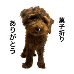 ちゅーりっぷ組のみんな