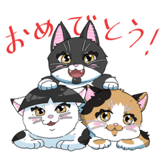 ThreecatSisters!