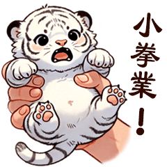 Cute little white tiger TW