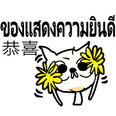 ThaiThaillandCartoonCatCute