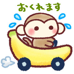 Cute Monkey11