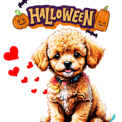 Halloween Toy Poodle Pups Spooky & Cute!