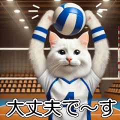 White Cat Volleyball