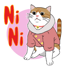 NiNi fat cat2