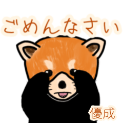 Yuusei's lesser panda (2)