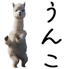 Dance and Move Alpaca (cute animal)