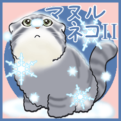 manul cat is not angry(Ver2)